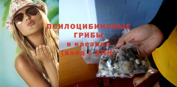сатива Балабаново