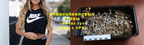 сатива Балабаново
