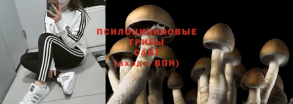 СК Баксан